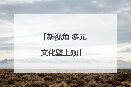 新视角 多元文化壁上观