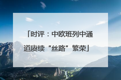 时评：中欧班列中通道赓续“丝路”繁荣