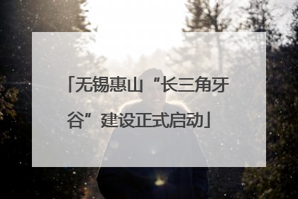 无锡惠山“长三角牙谷”建设正式启动