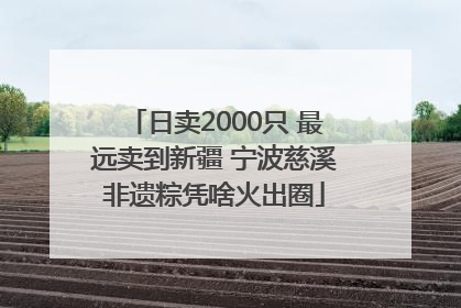 日卖2000只 最远卖到新疆 宁波慈溪非遗粽凭啥火出圈