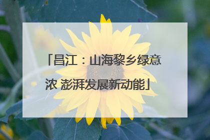 昌江：山海黎乡绿意浓 澎湃发展新动能