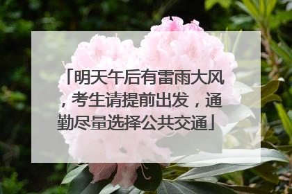 明天午后有雷雨大风，考生请提前出发，通勤尽量选择公共交通