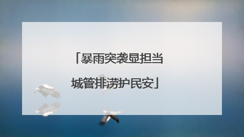 暴雨突袭显担当 城管排涝护民安