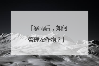 暴雨后，如何管理农作物？