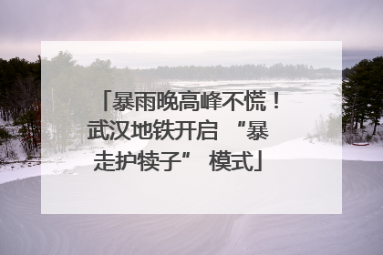 暴雨晚高峰不慌！武汉地铁开启 “暴走护犊子” 模式