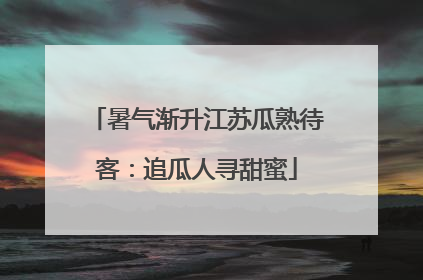 暑气渐升江苏瓜熟待客：追瓜人寻甜蜜