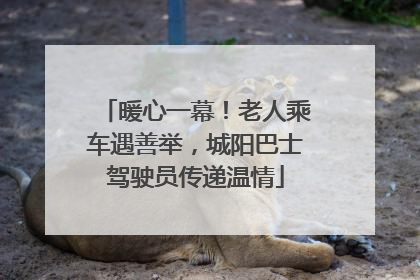 暖心一幕！老人乘车遇善举，城阳巴士驾驶员传递温情