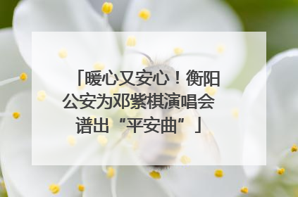暖心又安心！衡阳公安为邓紫棋演唱会谱出“平安曲”