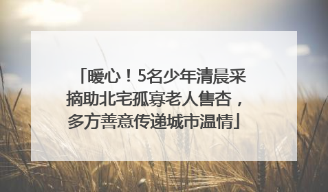 暖心！5名少年清晨采摘助北宅孤寡老人售杏，多方善意传递城市温情