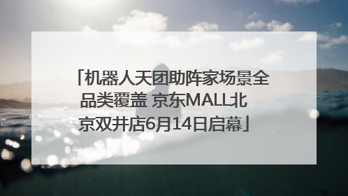 机器人天团助阵家场景全品类覆盖 京东MALL北京双井店6月14日启幕