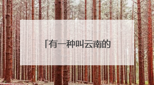 有一种叫云南的生活！云南发布旅居发展正负面清单与暑期文旅促消费“组合拳”