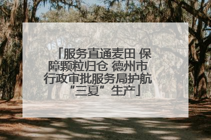 服务直通麦田 保障颗粒归仓 德州市行政审批服务局护航“三夏”生产