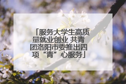 服务大学生高质量就业创业 共青团洛阳市委推出四项“青”心服务