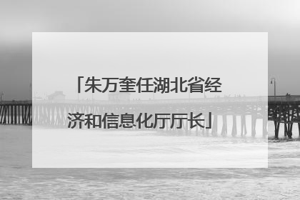 朱万奎任湖北省经济和信息化厅厅长