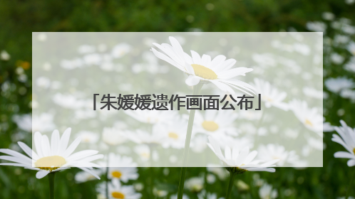 朱媛媛遗作画面公布