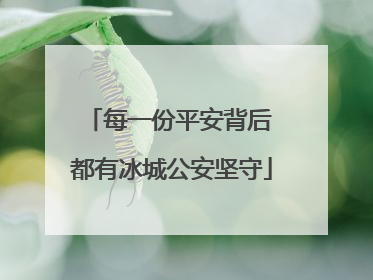 每一份平安背后 都有冰城公安坚守