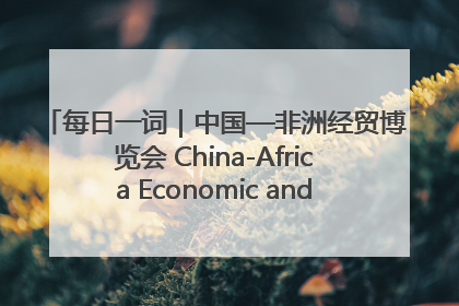 每日一词｜中国—非洲经贸博览会 China-Africa Economic and Trade Expo