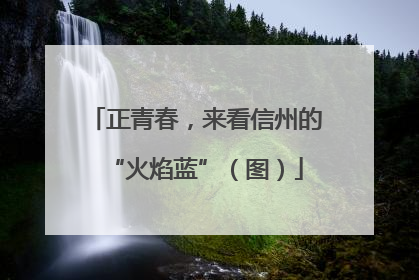 正青春，来看信州的“火焰蓝”（图）