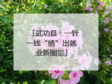 武功县：一针一线“绣”出就业新图景