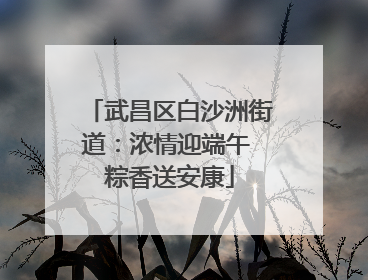 武昌区白沙洲街道：浓情迎端午 粽香送安康