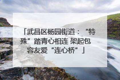 武昌区杨园街道：“特殊”踏青心相连 架起包容友爱“连心桥”