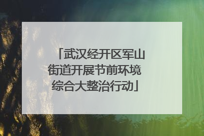 武汉经开区军山街道开展节前环境综合大整治行动