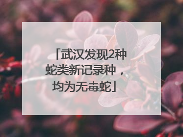 武汉发现2种蛇类新记录种，均为无毒蛇