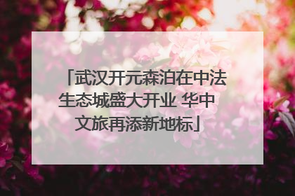 武汉开元森泊在中法生态城盛大开业 华中文旅再添新地标