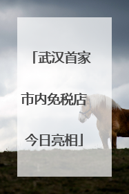 武汉首家市内免税店今日亮相