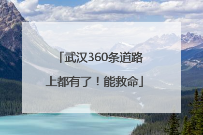 武汉360条道路上都有了！能救命