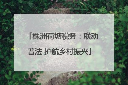 株洲荷塘税务：联动普法 护航乡村振兴