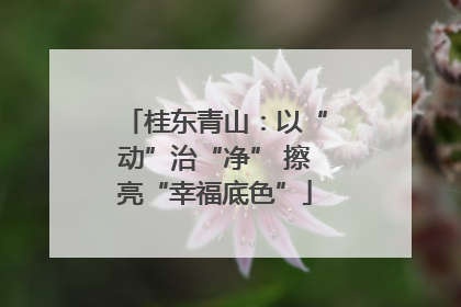 桂东青山：以“动”治“净” 擦亮“幸福底色”