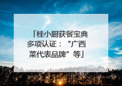 桂小厨获餐宝典多项认证：“广西菜代表品牌”等