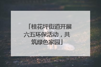 桂花坪街道开展六五环保活动，共筑绿色家园