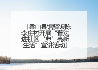 梁山县馆驿镇陈李庄村开展“普法进社区‘典’亮新生活”宣讲活动
