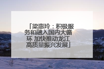 梁惠玲：积极服务和融入国内大循环 加快推动龙江高质量振兴发展