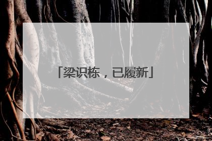 梁识栋，已履新