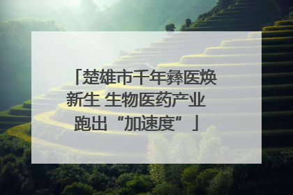 楚雄市千年彝医焕新生 生物医药产业跑出“加速度”