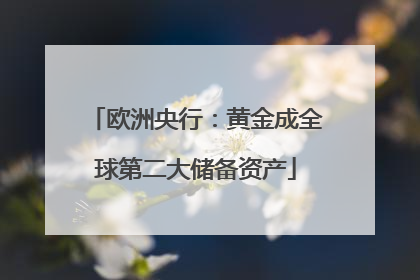 欧洲央行：黄金成全球第二大储备资产