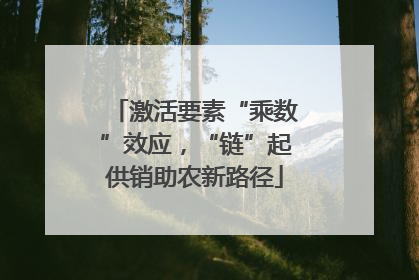激活要素“乘数”效应，“链”起供销助农新路径