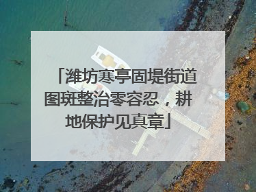 潍坊寒亭固堤街道图斑整治零容忍，耕地保护见真章