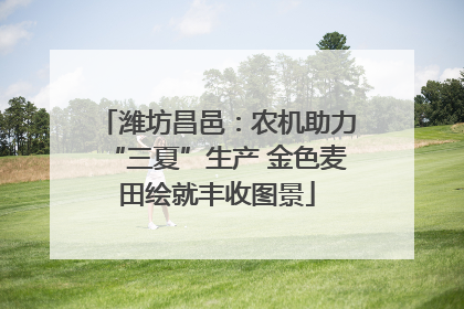 潍坊昌邑：农机助力“三夏”生产 金色麦田绘就丰收图景