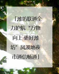潍坊联通全力护航“万物向上·更好潍坊”凤溪地夜市通信畅通