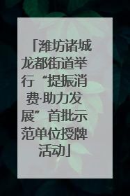 潍坊诸城龙都街道举行“提振消费·助力发展”首批示范单位授牌活动