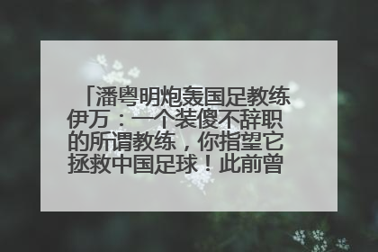 潘粤明炮轰国足教练伊万：一个装傻不辞职的所谓教练，你指望它拯救中国足球！此前曾多次发文评价国足
