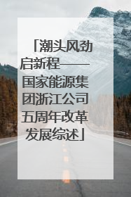 潮头风劲启新程——国家能源集团浙江公司五周年改革发展综述
