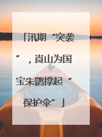 汛期“突袭”，崀山为国宝朱鹮撑起“保护伞”