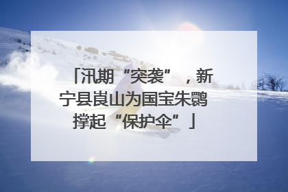汛期“突袭”，新宁县崀山为国宝朱鹮撑起“保护伞”