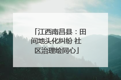 江西南昌县：田间地头化纠纷 社区治理绘同心