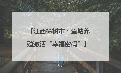 江西樟树市：鱼塘养殖激活“幸福密码”